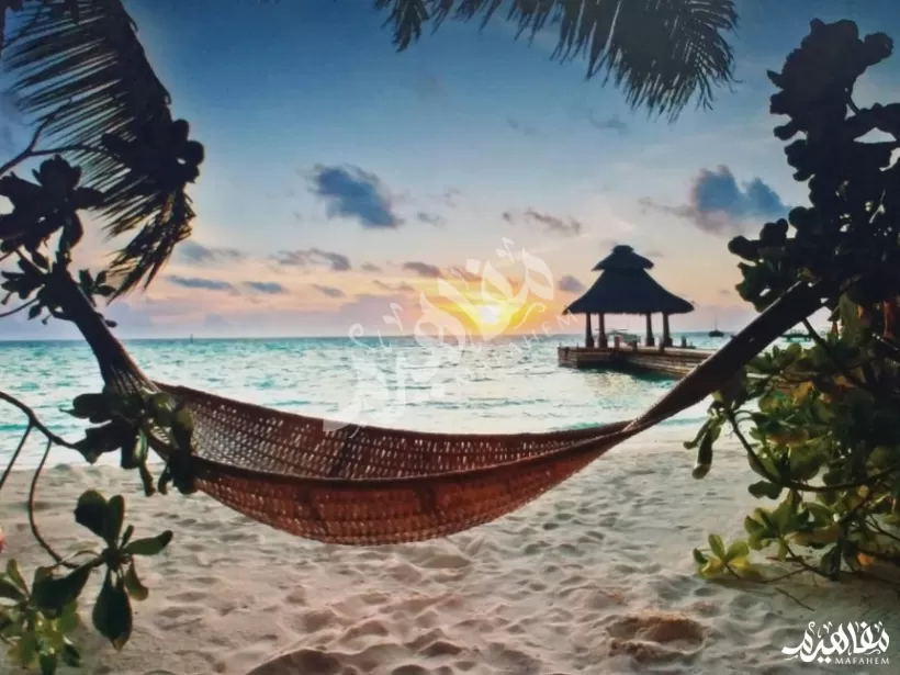 جزر المالديف جزر المالديف