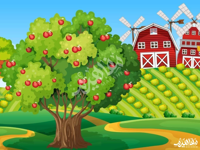 قصص اطفال  قبل النوم قصص اطفال  قبل النوم