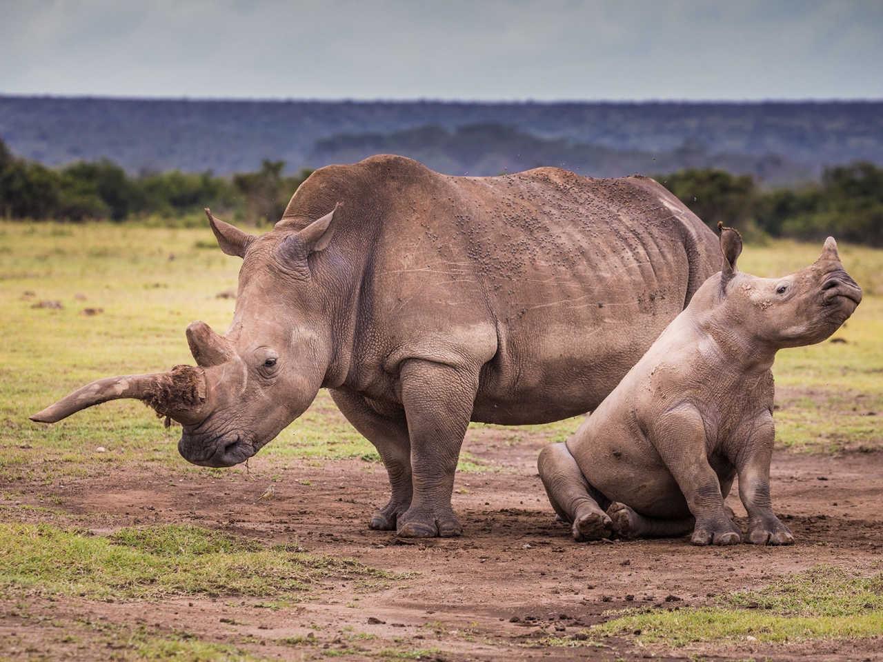 محمية سوليو، كينيا محمية سوليو، كينيا