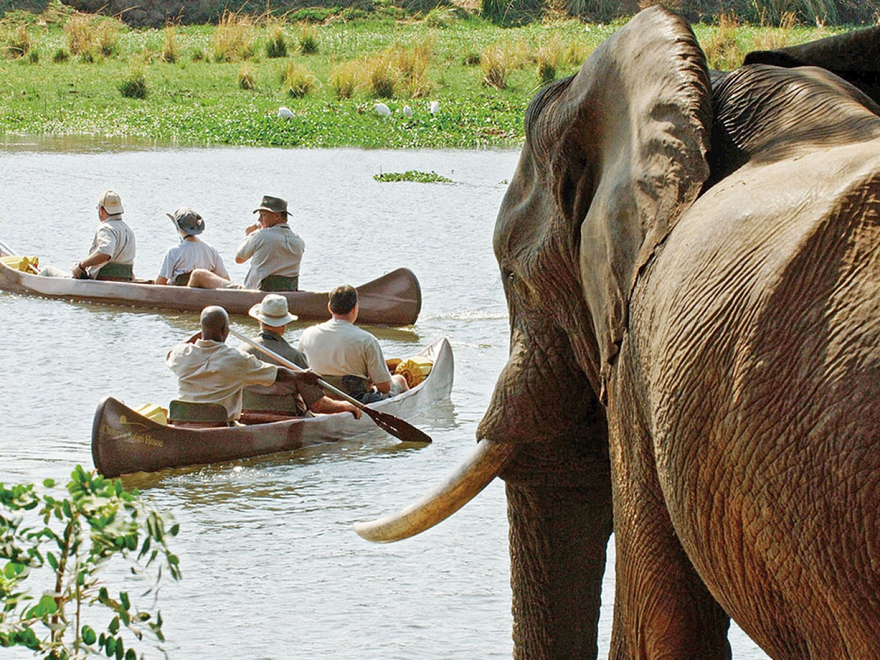 زامبيزي السفلى، زامبيا زامبيزي السفلى، زامبيا