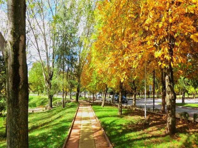 حديقة افران الوطنية حديقة افران الوطنية