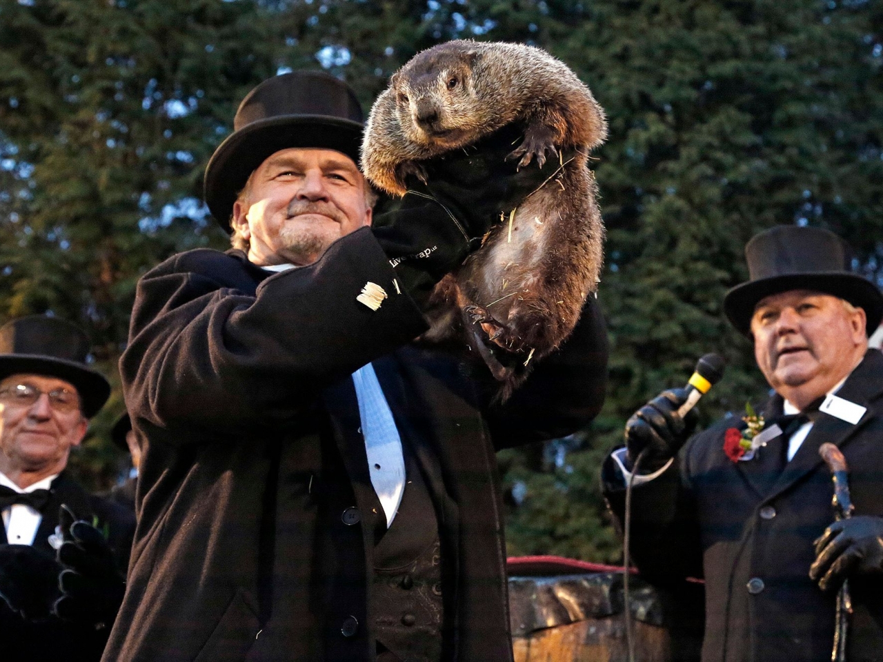 يوم جرذ الأرض في الولايات المتحدة يوم جرذ الأرض في الولايات المتحدة