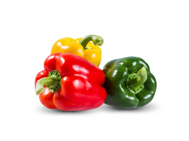 الفلفل الحلو الفلفل الحلو